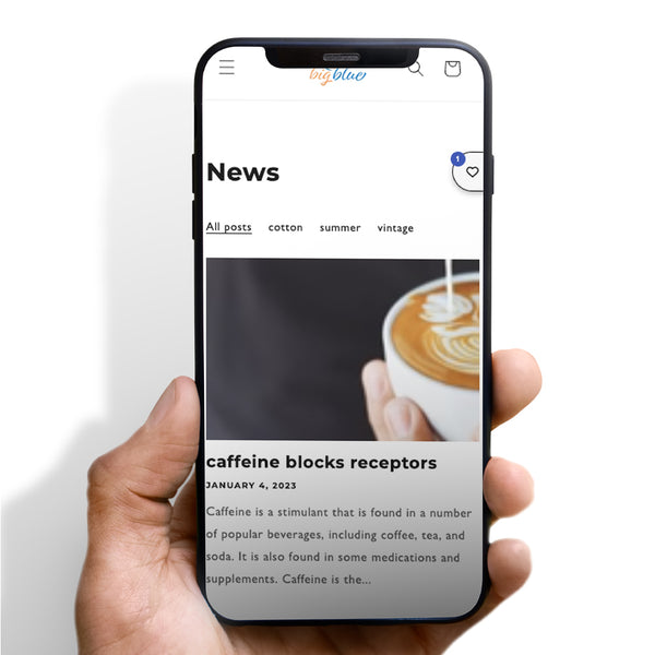 Blog Filters For Dawn Theme Only