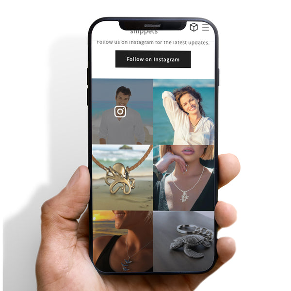 Instagram Gallery For All Themes
